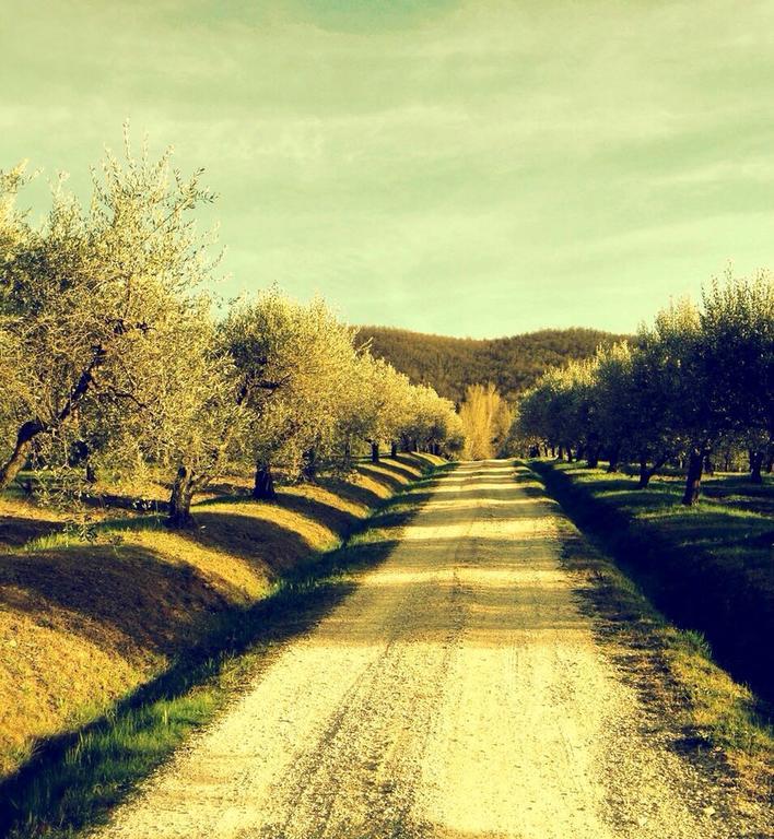 فيلا Monte Castello di Vibioفي Podere Le Corone المظهر الخارجي الصورة