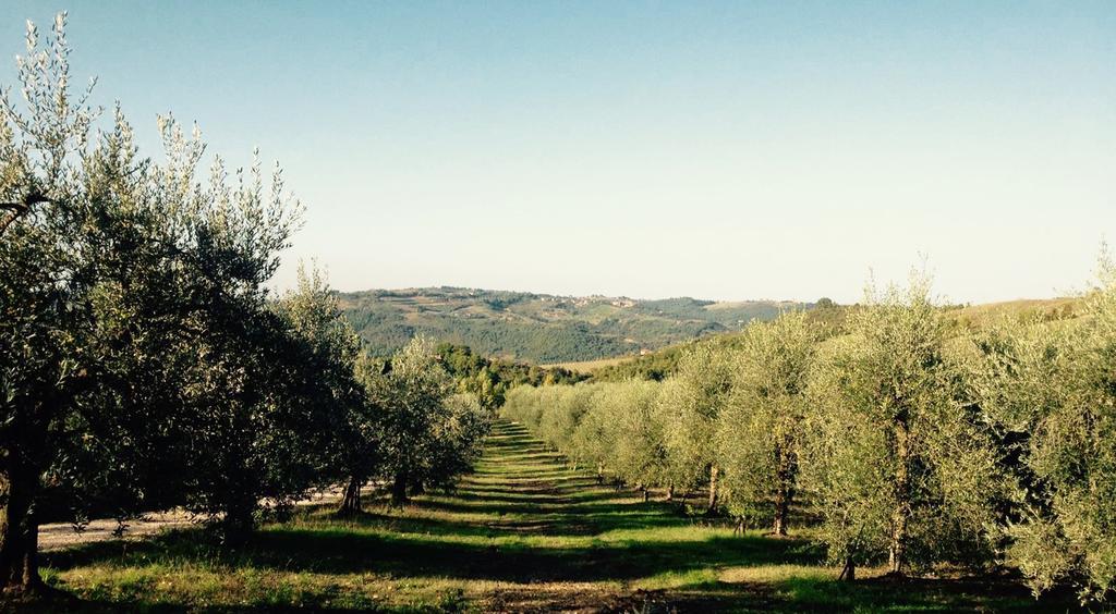 فيلا Monte Castello di Vibioفي Podere Le Corone المظهر الخارجي الصورة