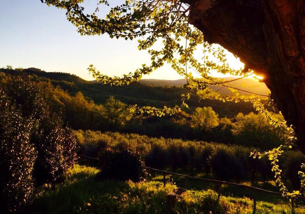 فيلا Monte Castello di Vibioفي Podere Le Corone المظهر الخارجي الصورة