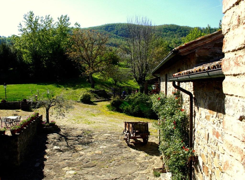 فيلا Monte Castello di Vibioفي Podere Le Corone المظهر الخارجي الصورة