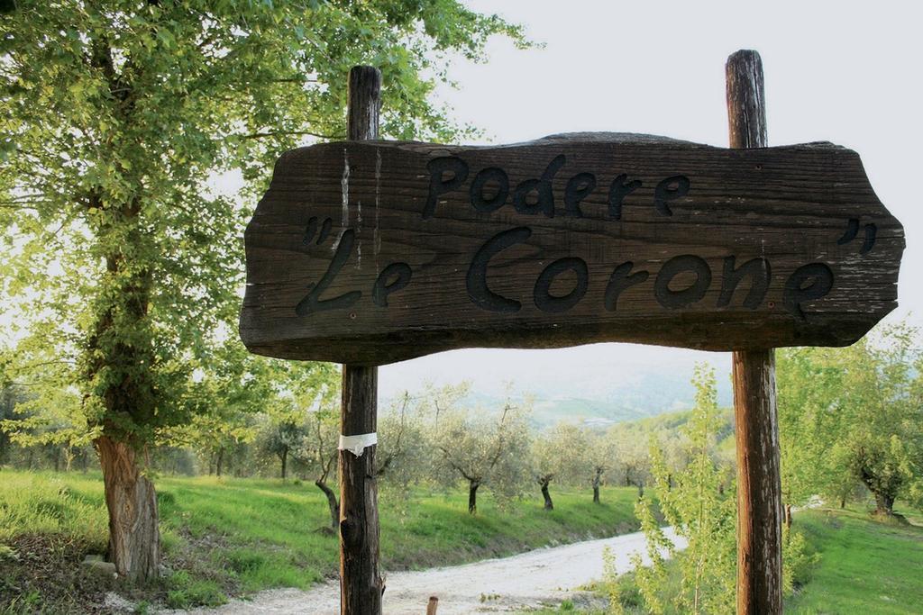 فيلا Monte Castello di Vibioفي Podere Le Corone المظهر الخارجي الصورة
