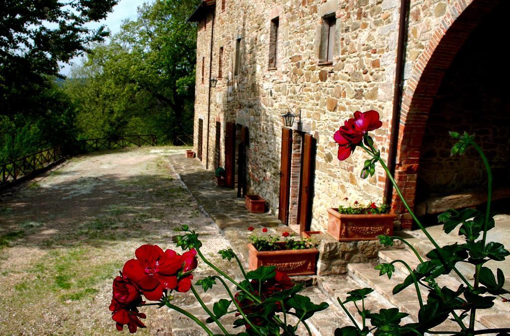 فيلا Monte Castello di Vibioفي Podere Le Corone المظهر الخارجي الصورة